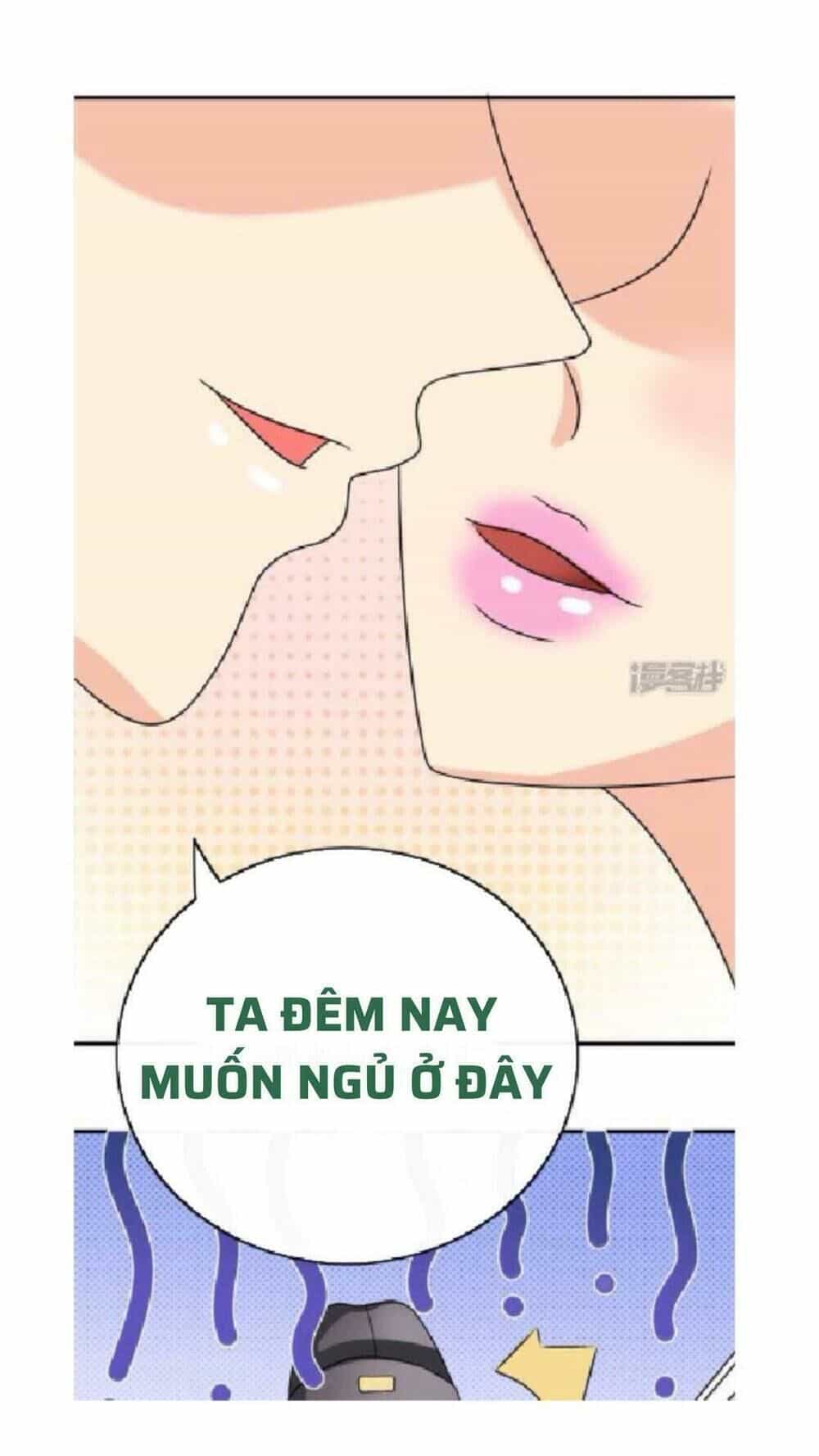 Vương Phi Ngang Ngược - Chương 10 - ảnh 19