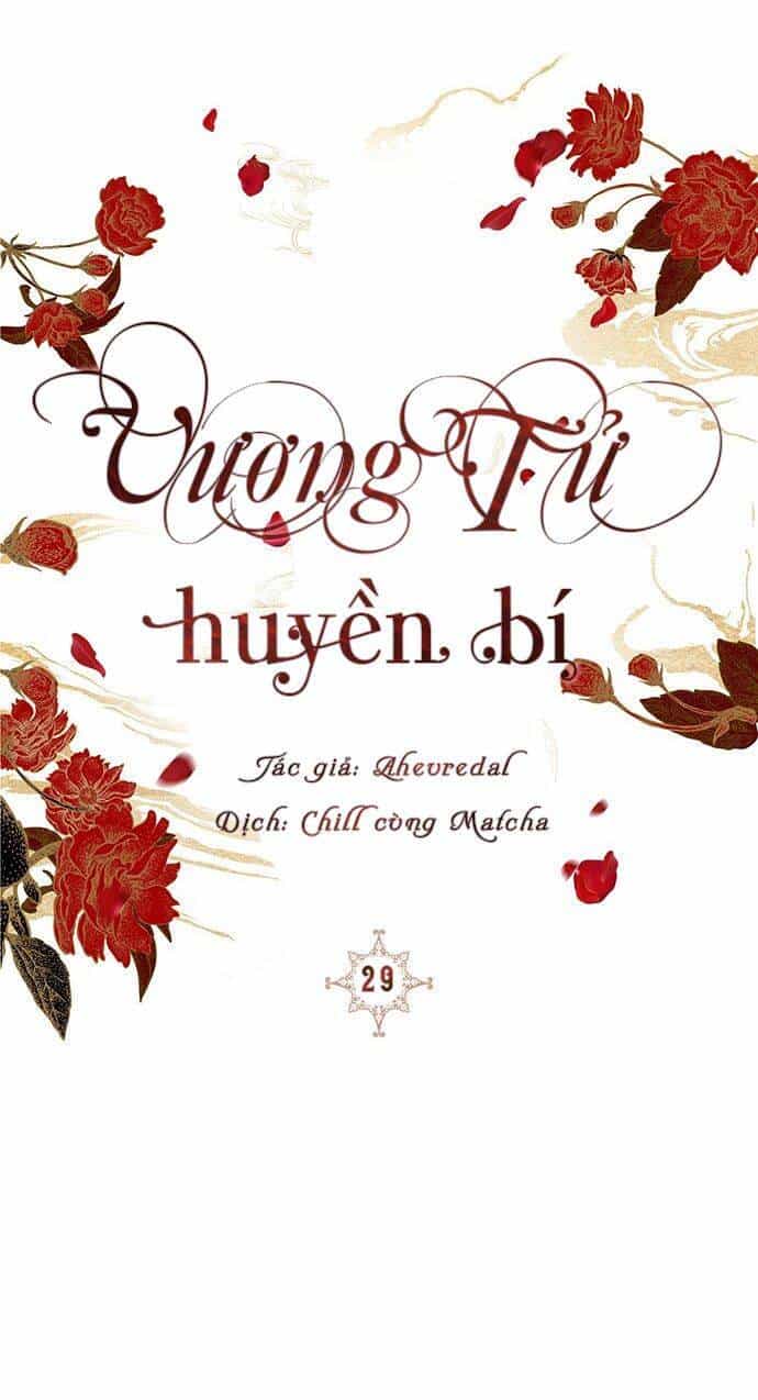 Vương Tử Huyền Bí - Chương 29 - ảnh 50