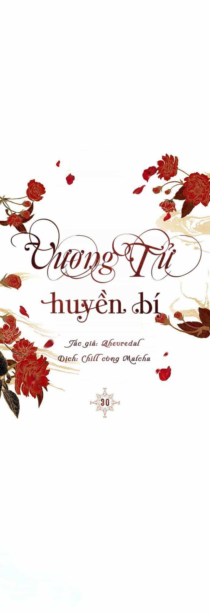 Vương Tử Huyền Bí - Chương 30 - ảnh 25
