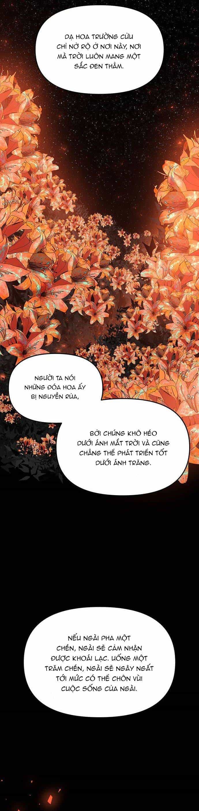 Vương Tử Huyền Bí - Chương 65 - ảnh 85