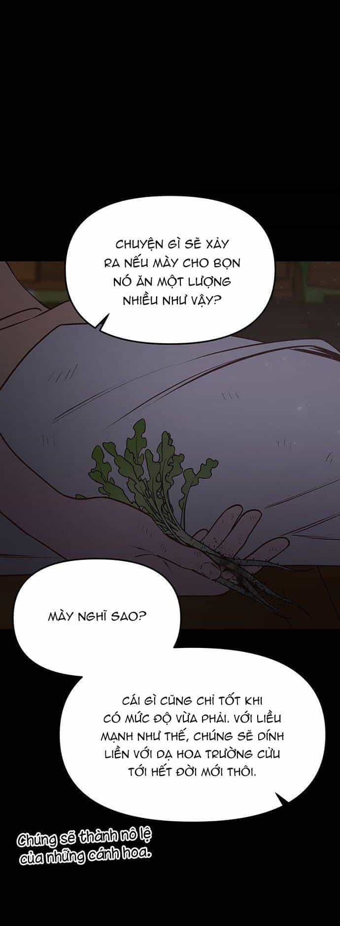 Vương Tử Huyền Bí - Chương 67 - ảnh 36