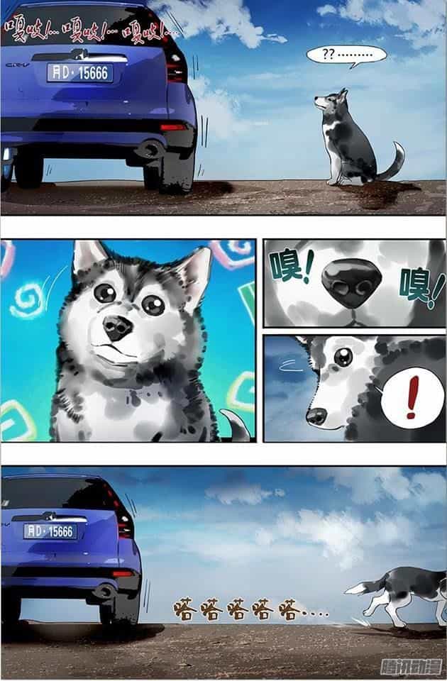 Were Wolf - Chương 13 - ảnh 6