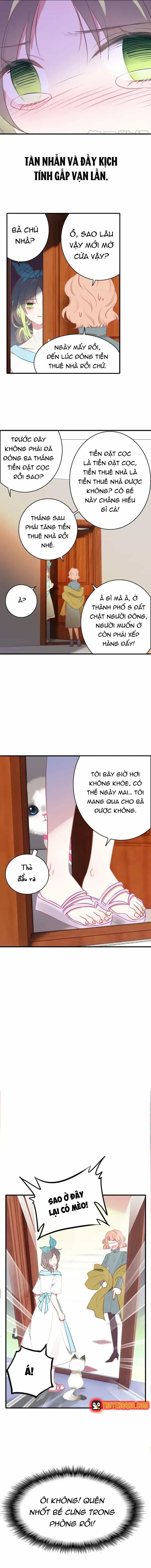 Xách Mèo Vào Ở - Chương 1 - ảnh 14
