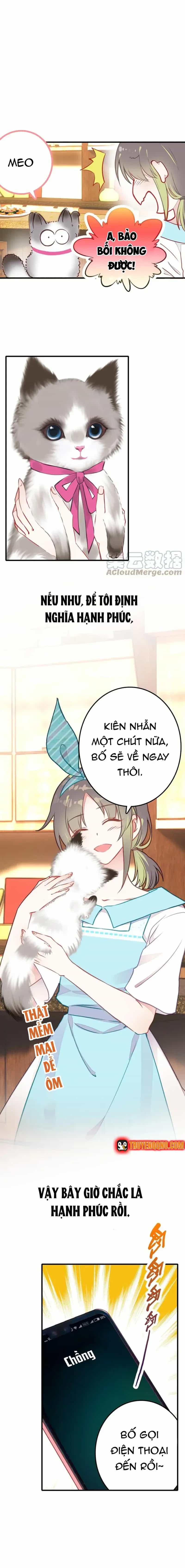 Xách Mèo Vào Ở - Chương 1 - ảnh 5