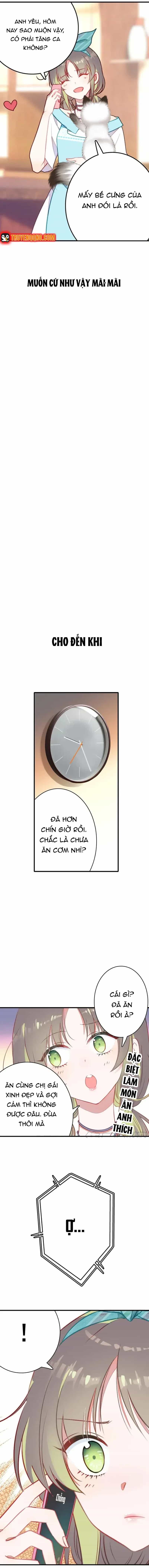 Xách Mèo Vào Ở - Chương 1 - ảnh 6
