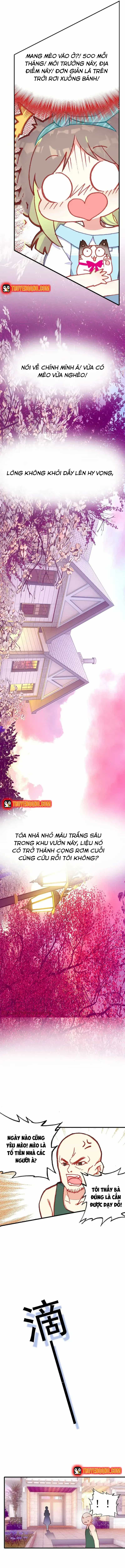 Xách Mèo Vào Ở - Chương 2 - ảnh 6