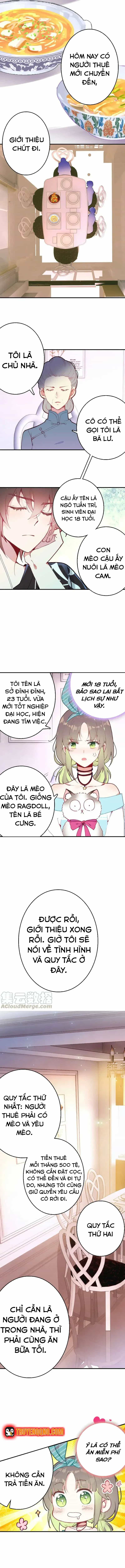 Xách Mèo Vào Ở - Chương 3 - ảnh 10