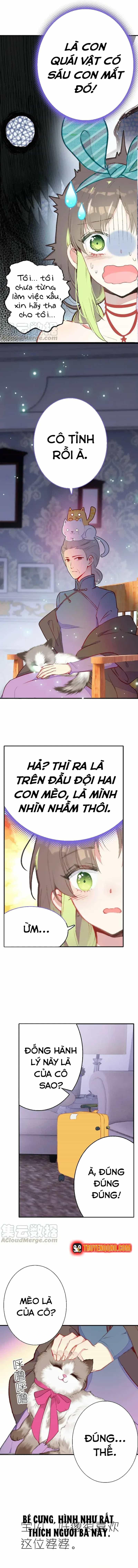 Xách Mèo Vào Ở - Chương 3 - ảnh 5