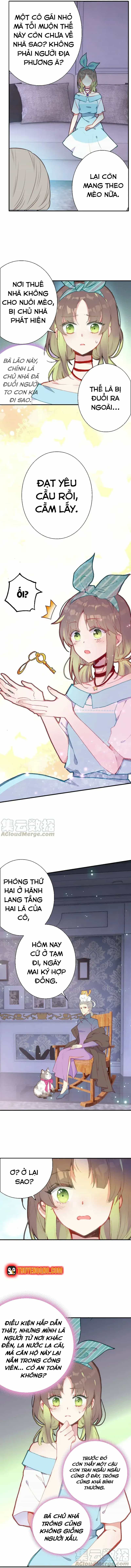 Xách Mèo Vào Ở - Chương 3 - ảnh 6