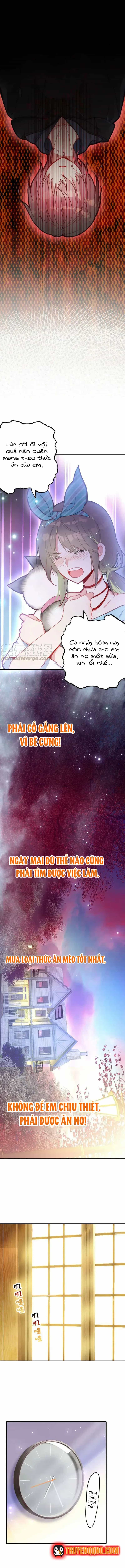 Xách Mèo Vào Ở - Chương 4 - ảnh 6