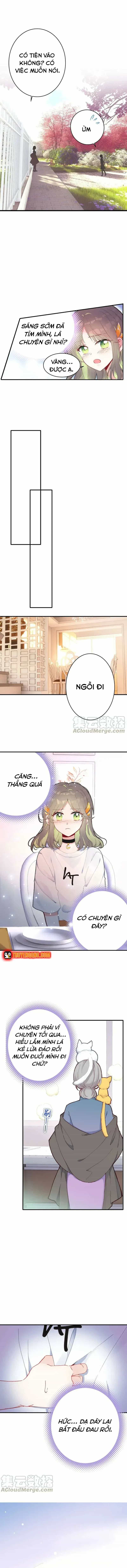 Xách Mèo Vào Ở - Chương 4 - ảnh 9