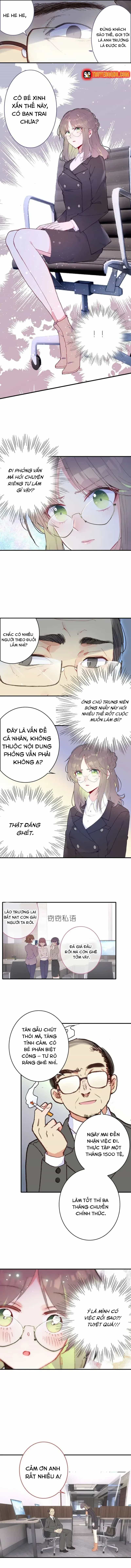 Xách Mèo Vào Ở - Chương 5 - ảnh 7