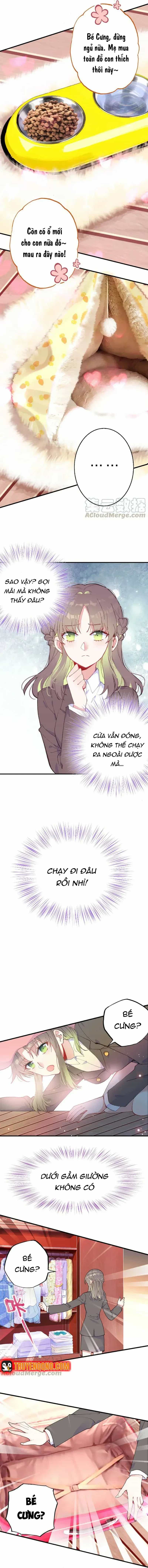 Xách Mèo Vào Ở - Chương 6 - ảnh 4