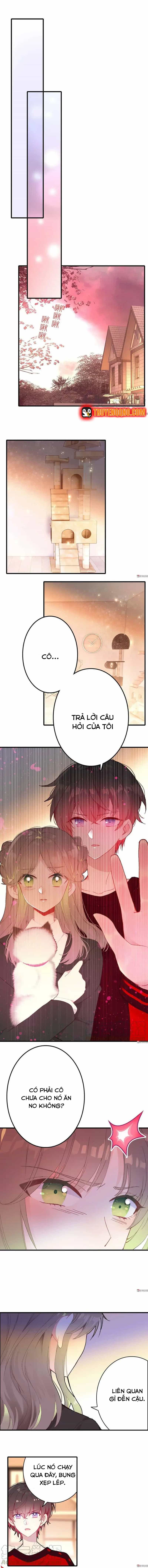Xách Mèo Vào Ở - Chương 7 - ảnh 3