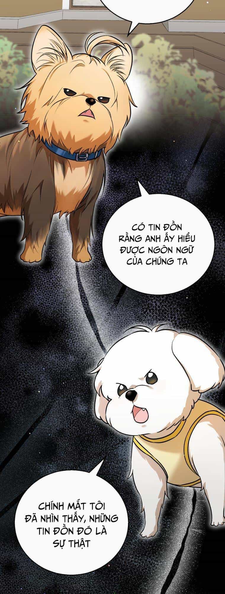 Xin Chào! Bác Sĩ Thú Y - Chương 1 - ảnh 2