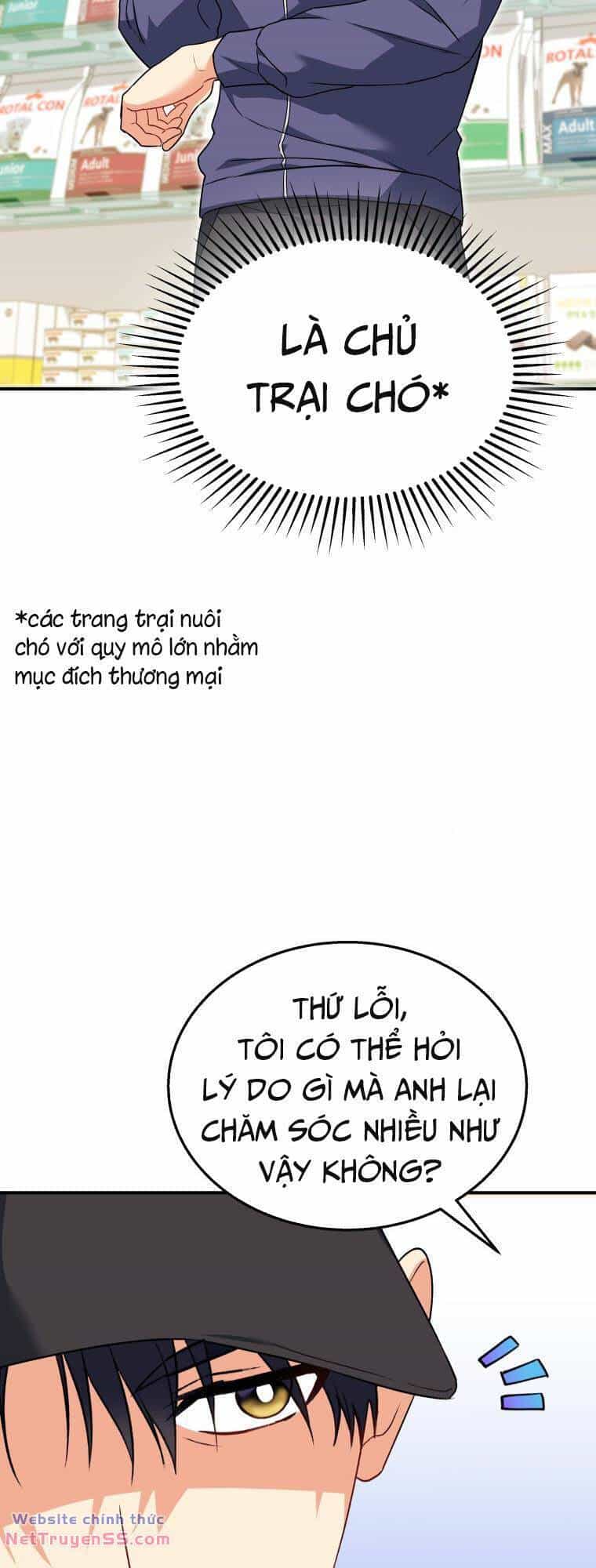 Xin Chào! Bác Sĩ Thú Y - Chương 11 - ảnh 12