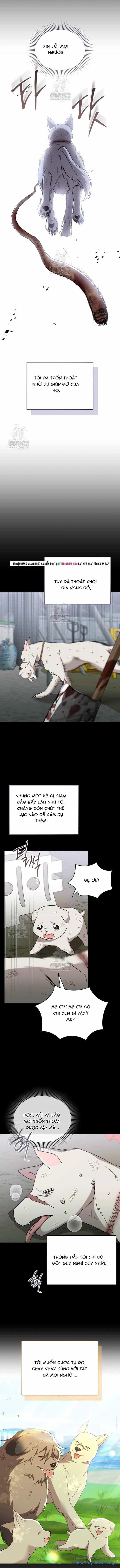 Xin Chào! Bác Sĩ Thú Y - Chương 114.5 - ảnh 9