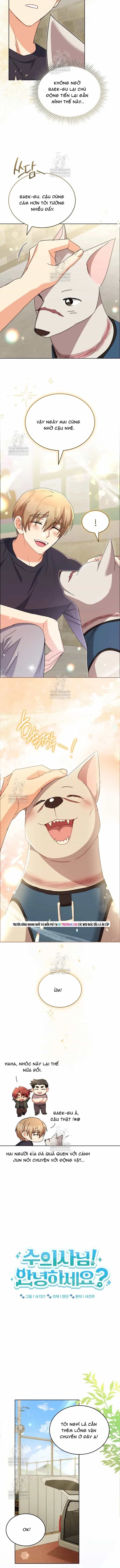 Xin Chào! Bác Sĩ Thú Y - Chương 118 - ảnh 6