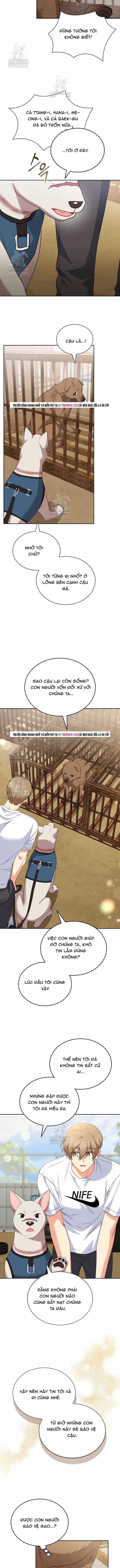 Xin Chào! Bác Sĩ Thú Y - Chương 118 - ảnh 9