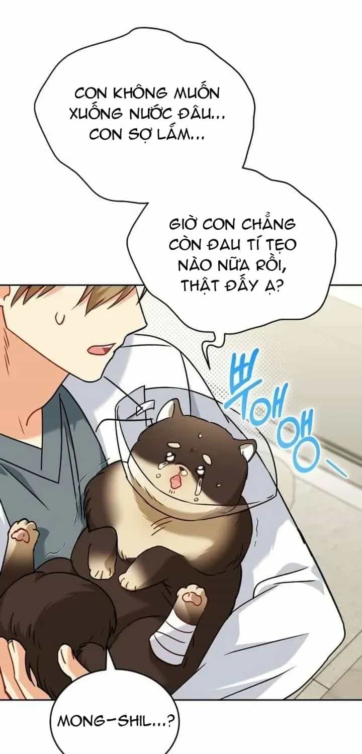 Xin Chào! Bác Sĩ Thú Y - Chương 128 - ảnh 27