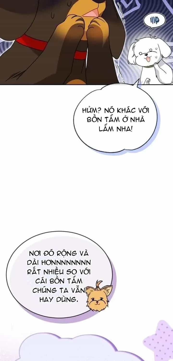 Xin Chào! Bác Sĩ Thú Y - Chương 129 - ảnh 13