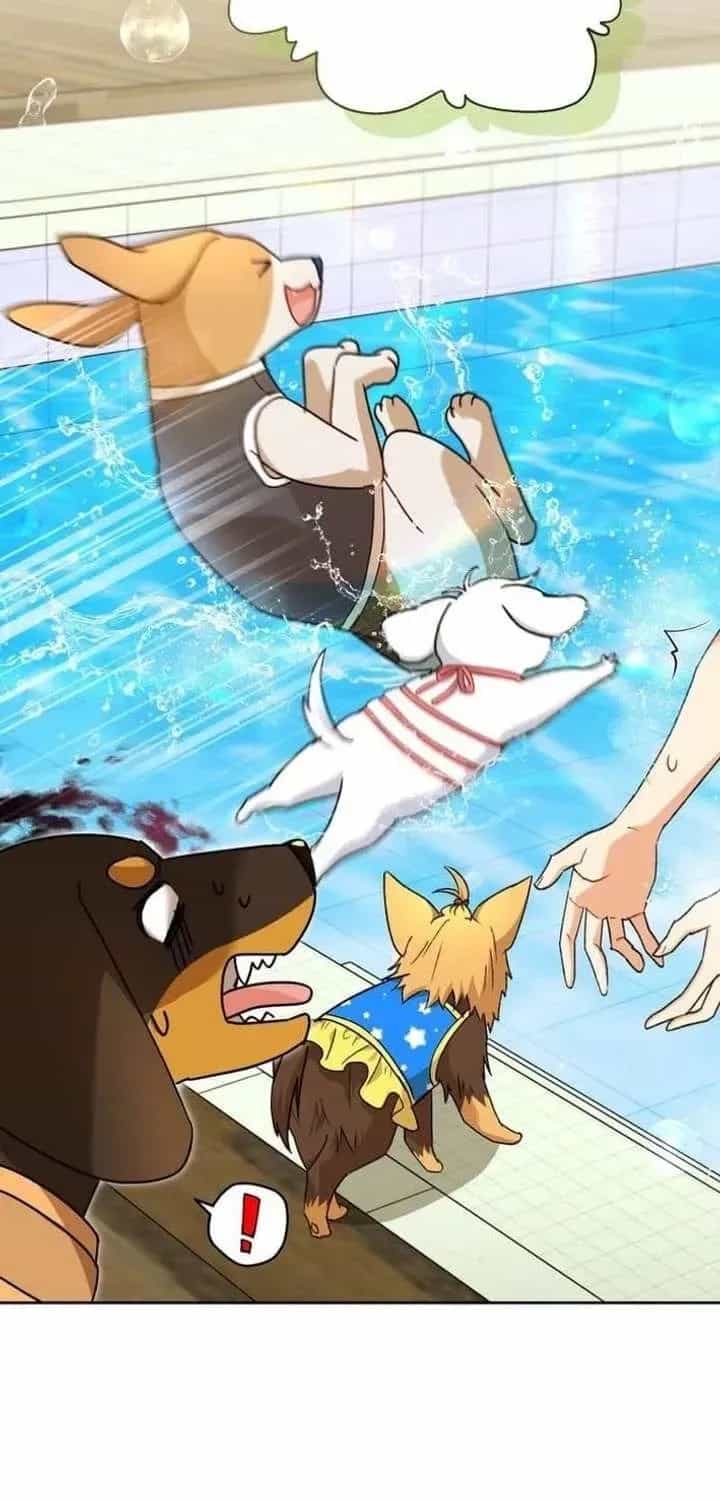 Xin Chào! Bác Sĩ Thú Y - Chương 129 - ảnh 33