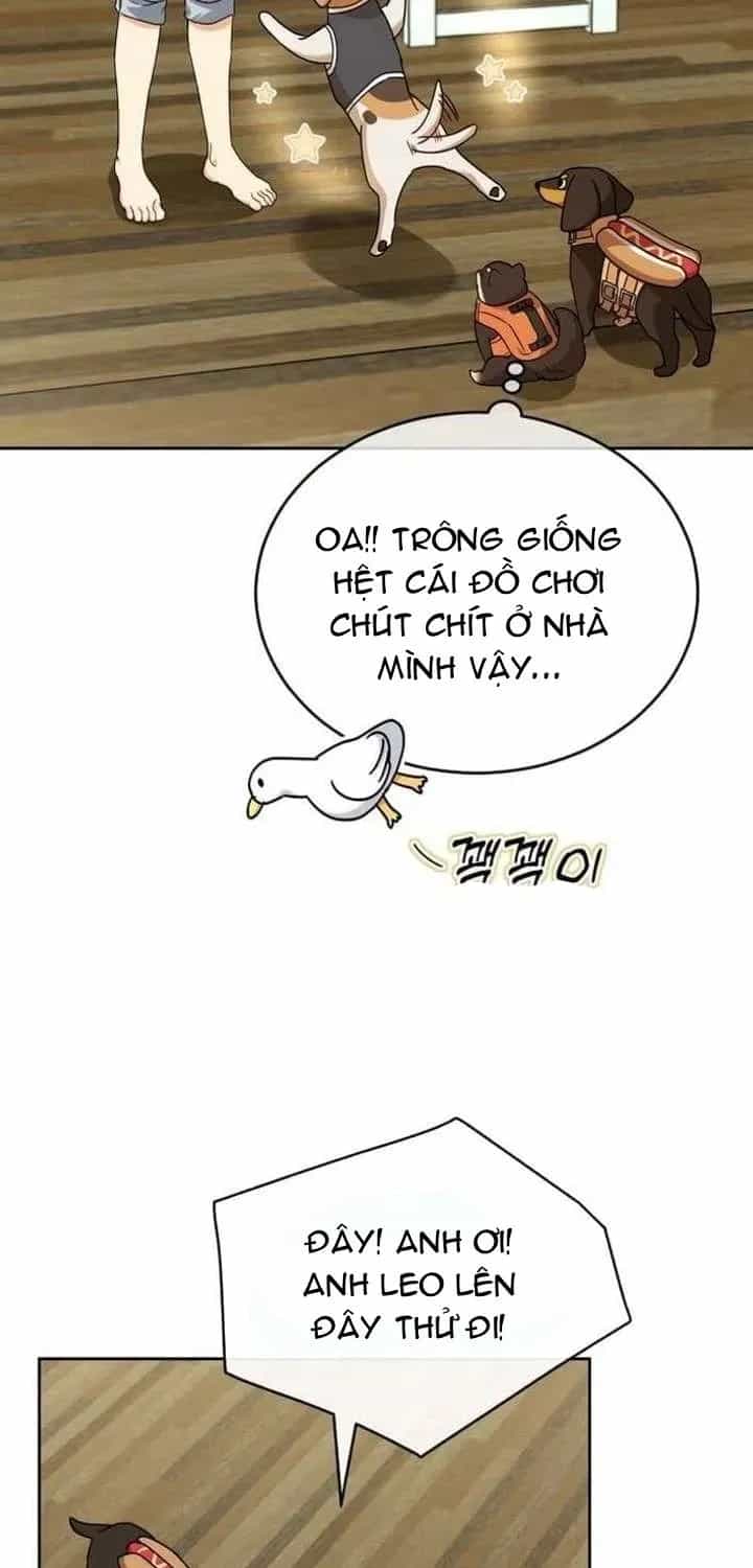 Xin Chào! Bác Sĩ Thú Y - Chương 129 - ảnh 59