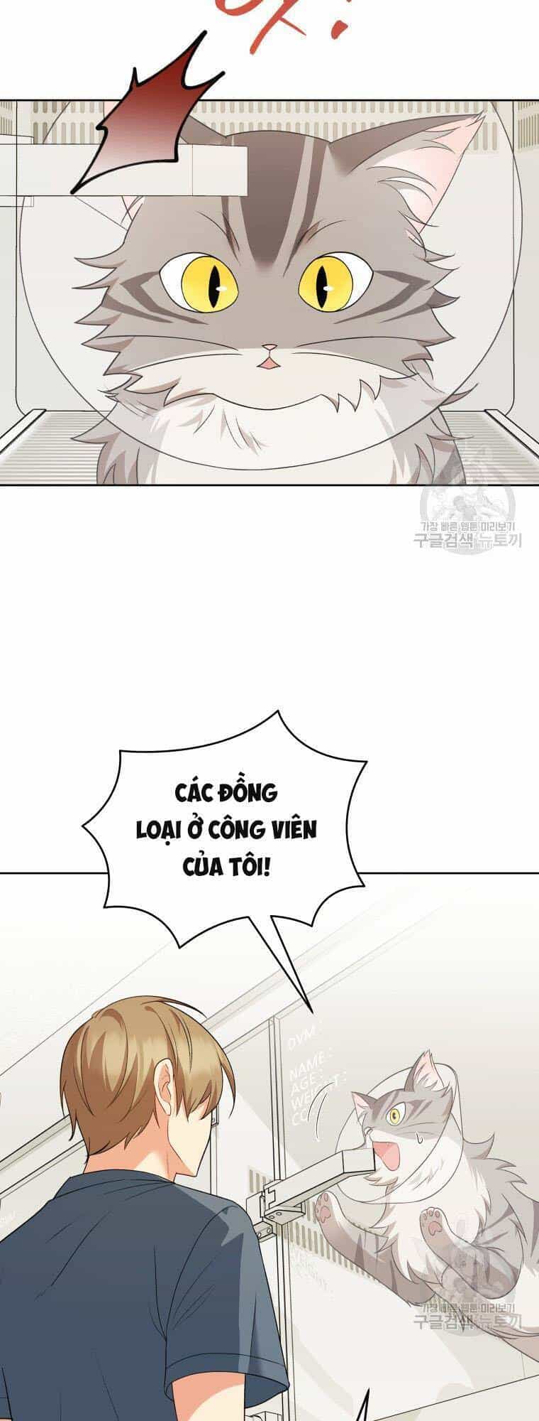 Xin Chào! Bác Sĩ Thú Y - Chương 15 - ảnh 5