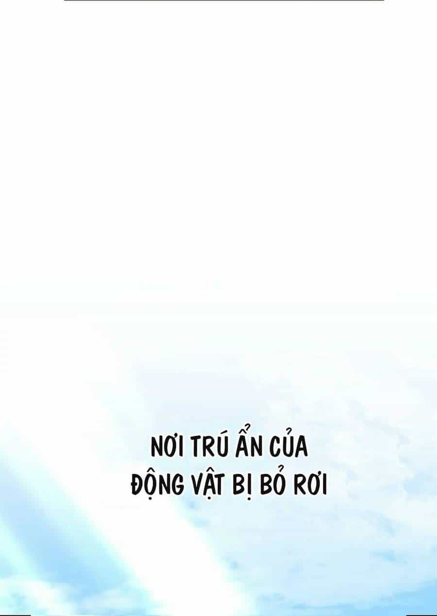 Xin Chào! Bác Sĩ Thú Y - Chương 17 - ảnh 33