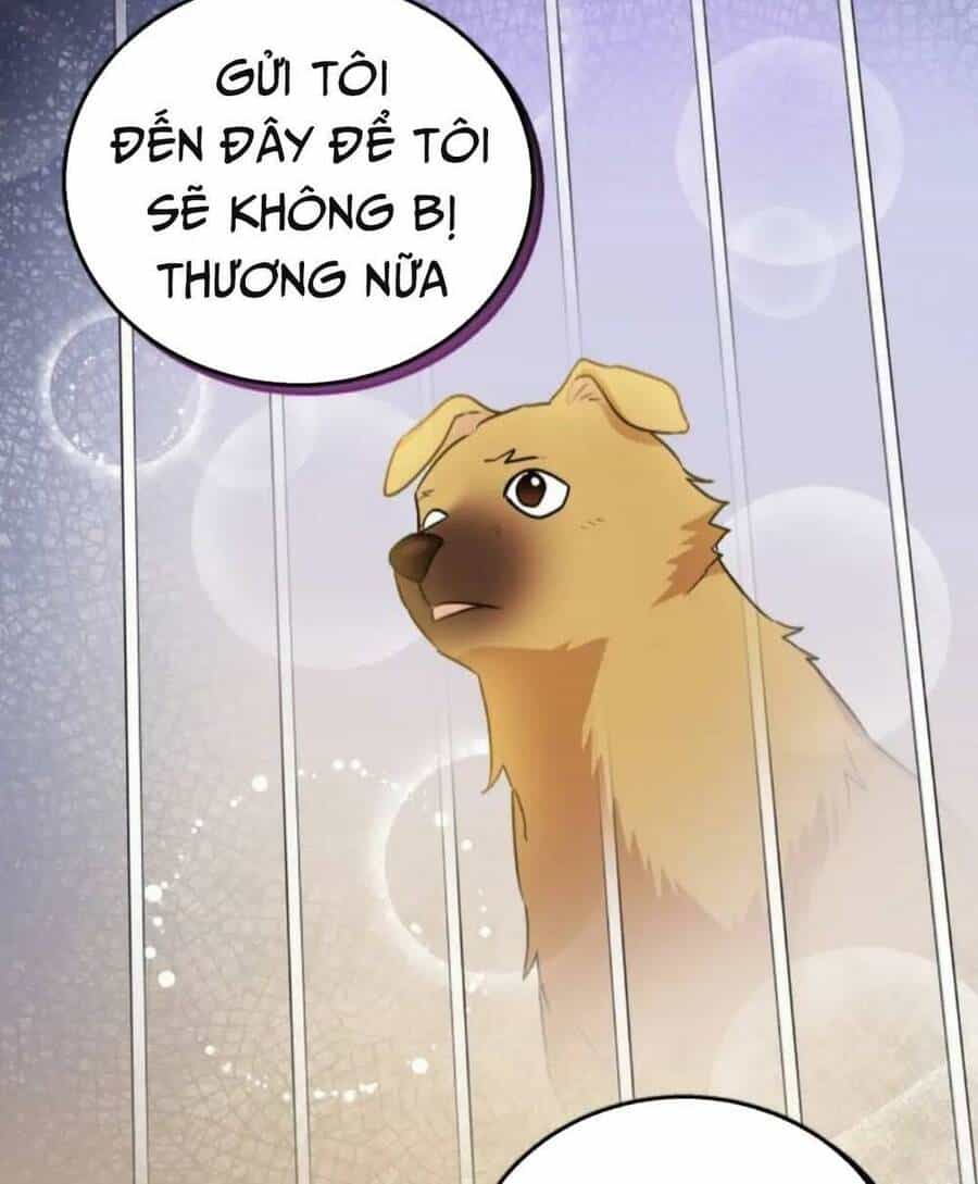 Xin Chào! Bác Sĩ Thú Y - Chương 19 - ảnh 12