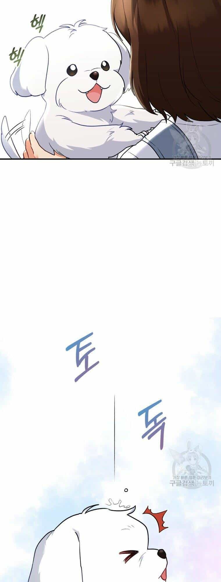 Xin Chào! Bác Sĩ Thú Y - Chương 2 - ảnh 4