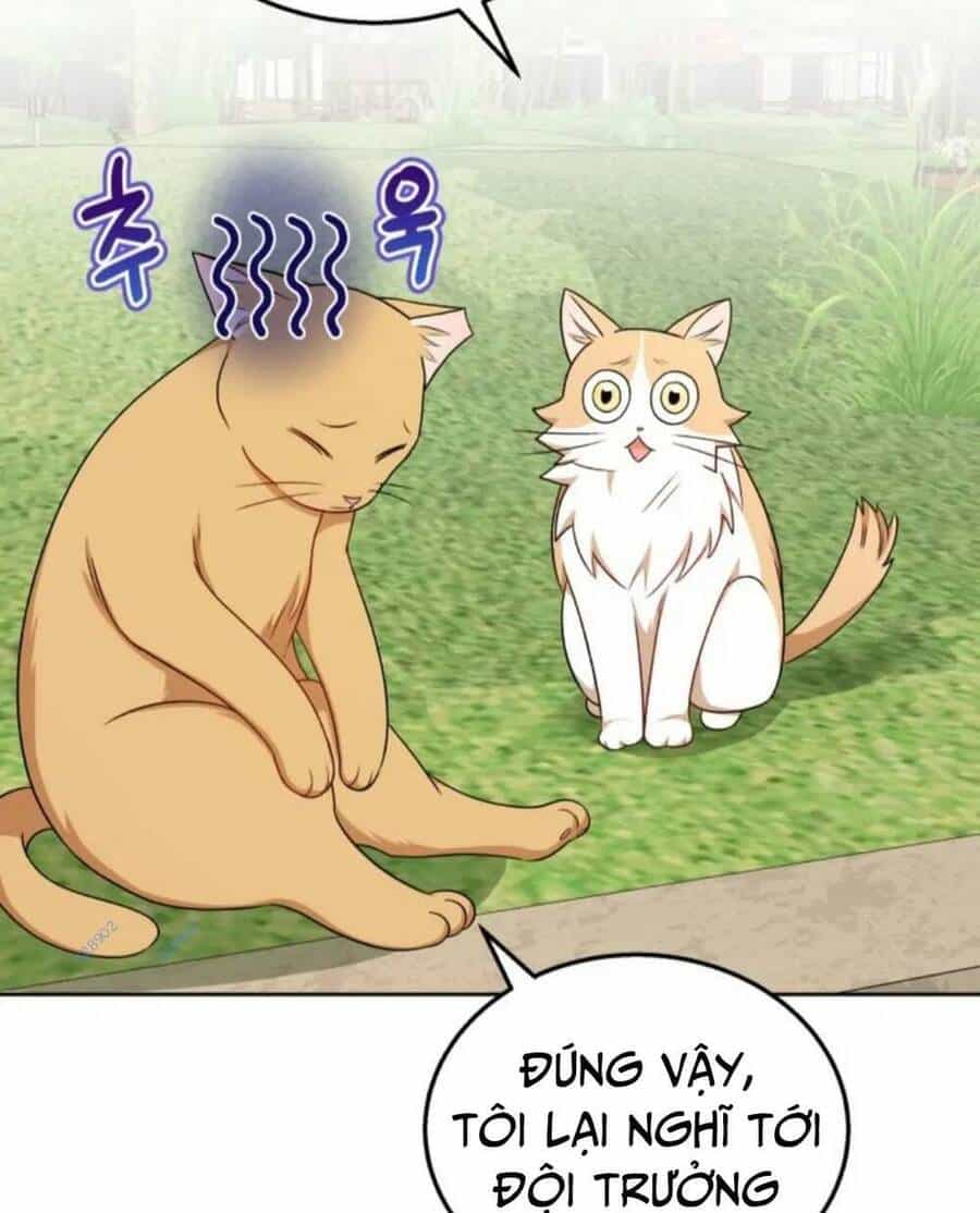 Xin Chào! Bác Sĩ Thú Y - Chương 21 - ảnh 38