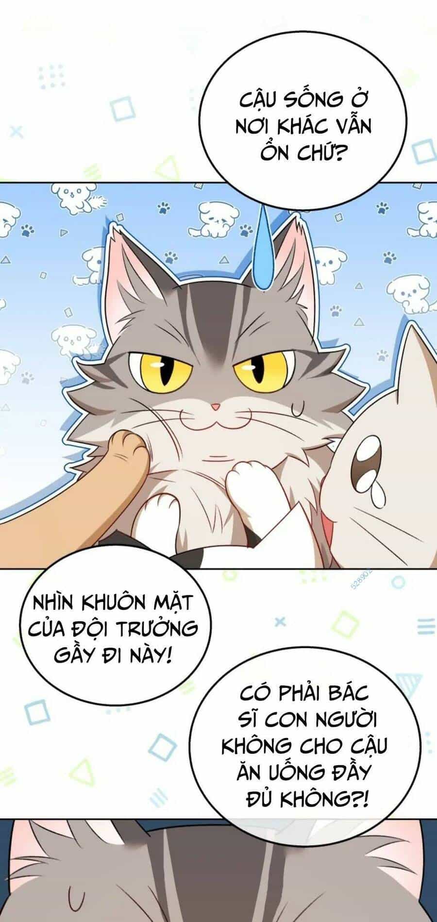 Xin Chào! Bác Sĩ Thú Y - Chương 21 - ảnh 53