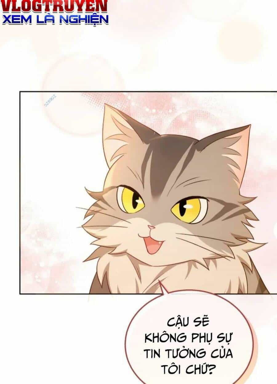 Xin Chào! Bác Sĩ Thú Y - Chương 21 - ảnh 86