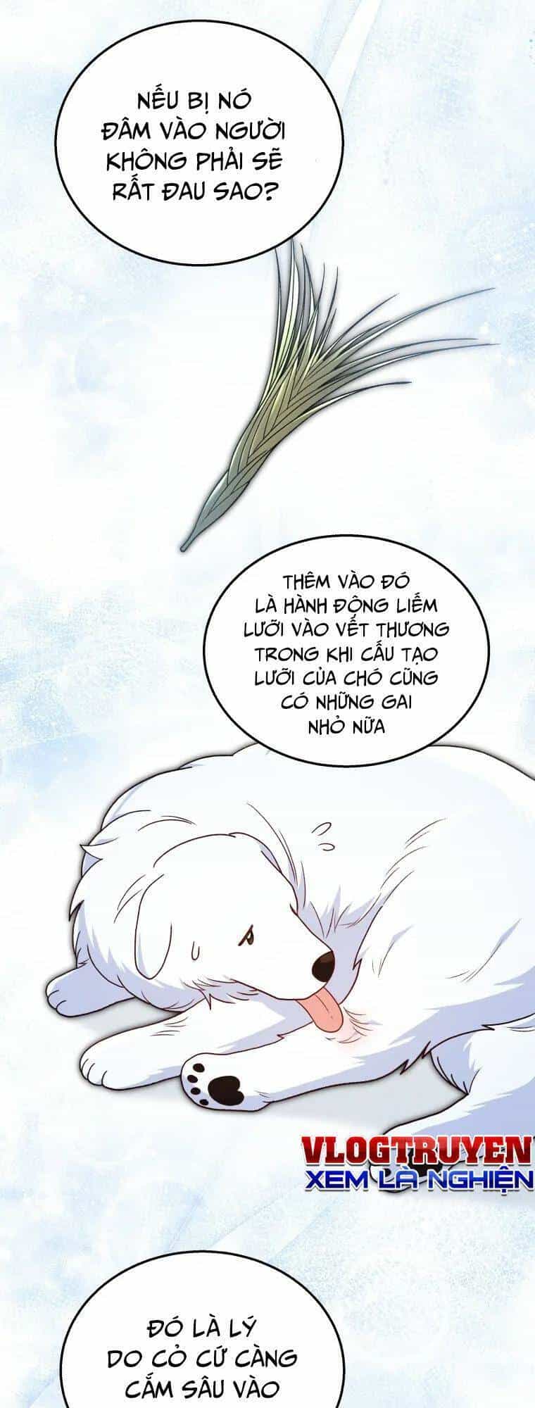 Xin Chào! Bác Sĩ Thú Y - Chương 23 - ảnh 20