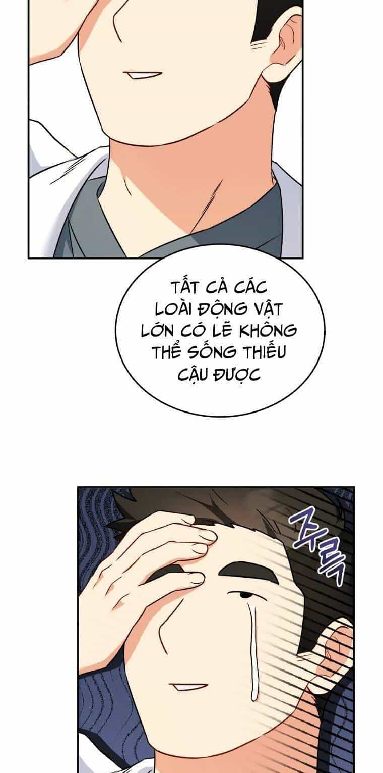 Xin Chào! Bác Sĩ Thú Y - Chương 24 - ảnh 53