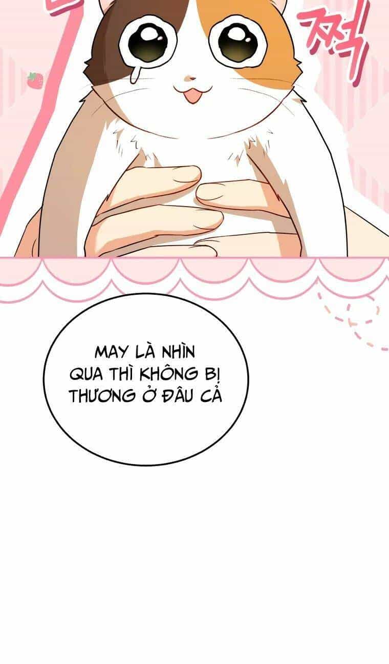 Xin Chào! Bác Sĩ Thú Y - Chương 26 - ảnh 34