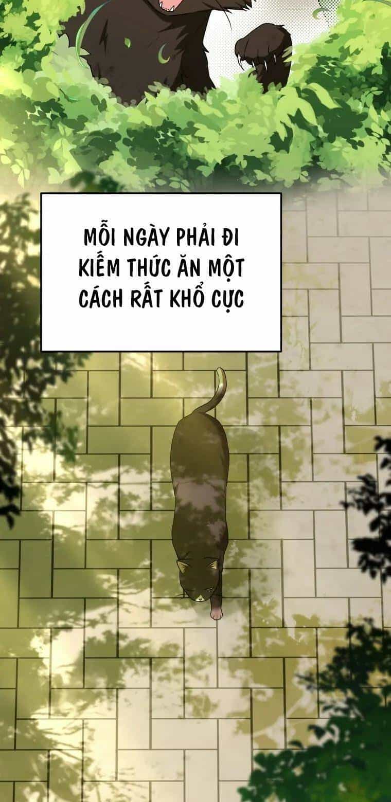 Xin Chào! Bác Sĩ Thú Y - Chương 27 - ảnh 2