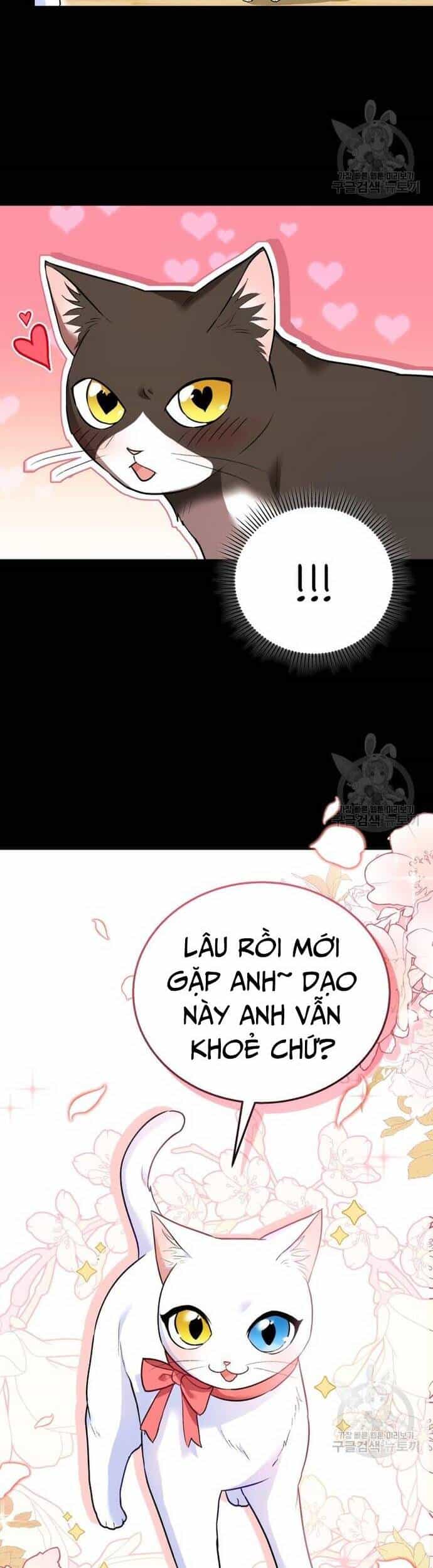 Xin Chào! Bác Sĩ Thú Y - Chương 30 - ảnh 35
