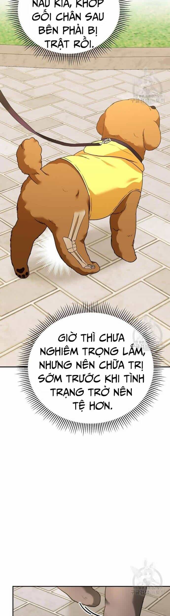 Xin Chào! Bác Sĩ Thú Y - Chương 31 - ảnh 13