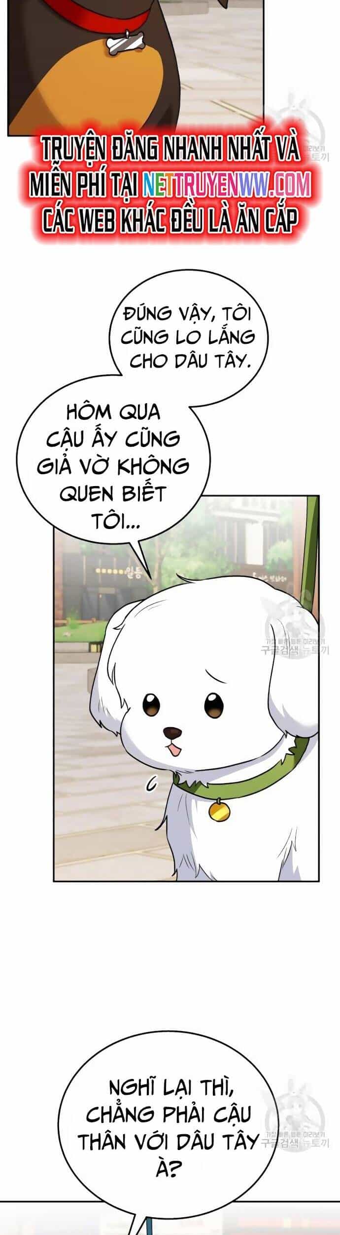 Xin Chào! Bác Sĩ Thú Y - Chương 31 - ảnh 31