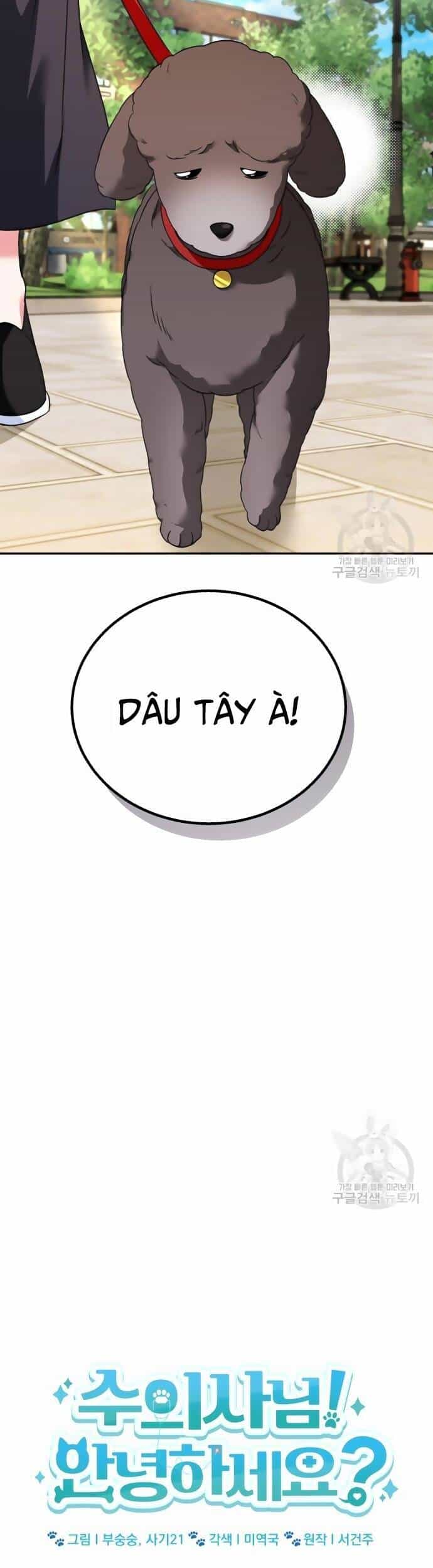 Xin Chào! Bác Sĩ Thú Y - Chương 32 - ảnh 12