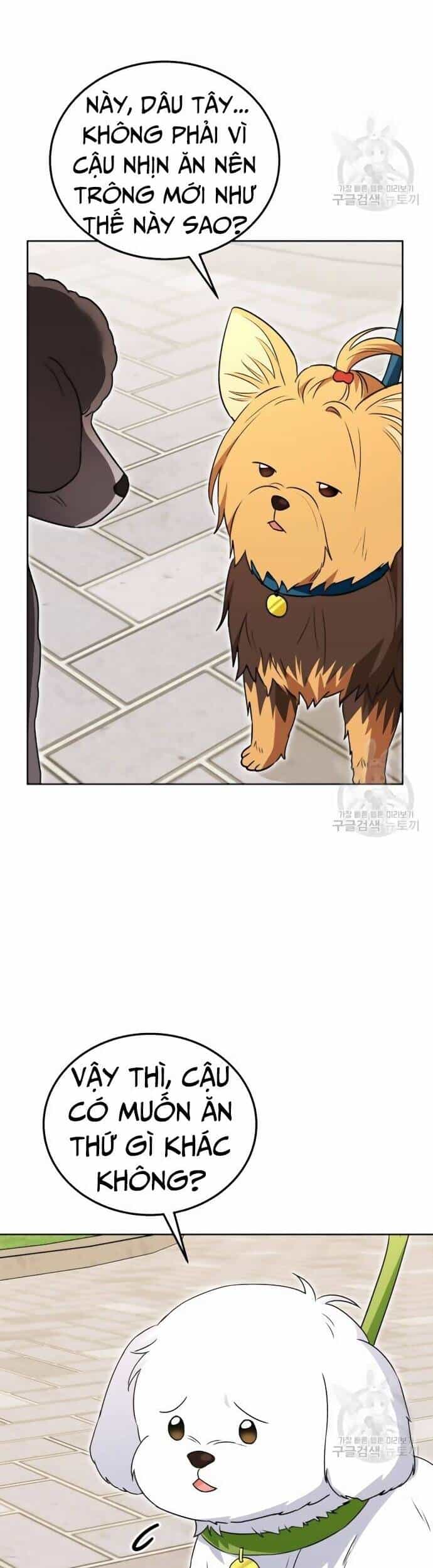 Xin Chào! Bác Sĩ Thú Y - Chương 32 - ảnh 31