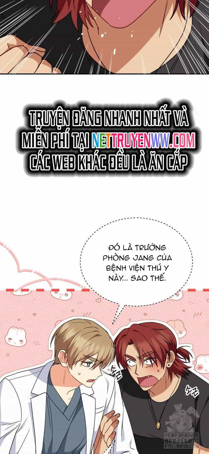 Xin Chào! Bác Sĩ Thú Y - Chương 37 - ảnh 11