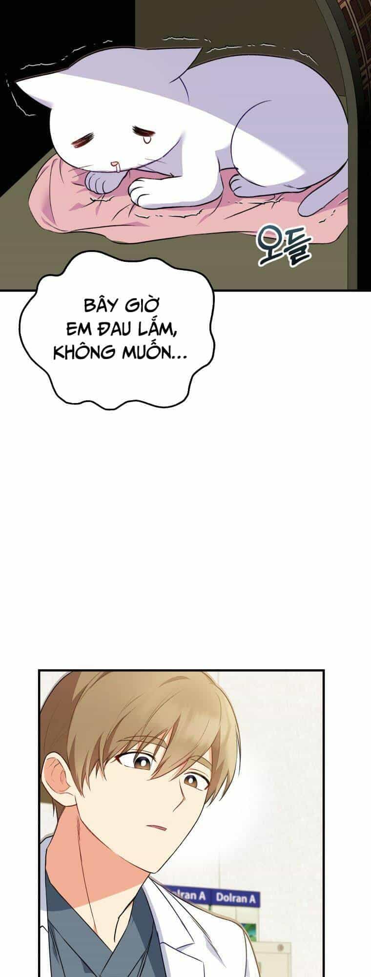 Xin Chào! Bác Sĩ Thú Y - Chương 4 - ảnh 26