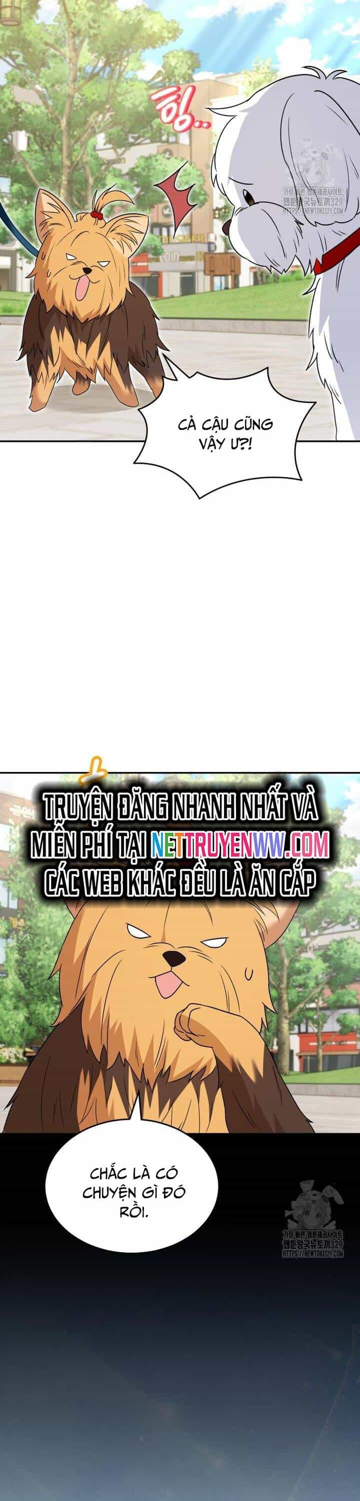 Xin Chào! Bác Sĩ Thú Y - Chương 47 - ảnh 40