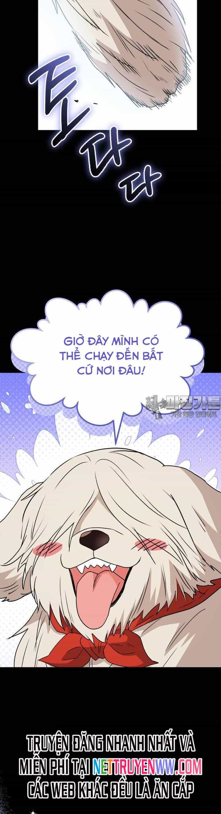 Xin Chào! Bác Sĩ Thú Y - Chương 48 - ảnh 34