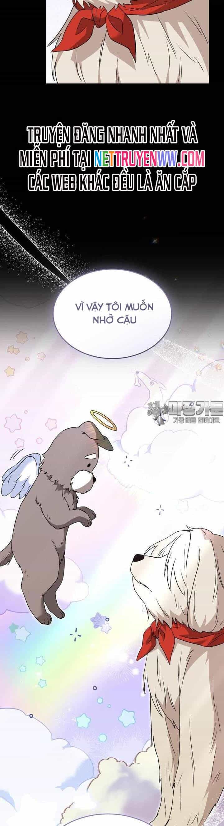 Xin Chào! Bác Sĩ Thú Y - Chương 48 - ảnh 39