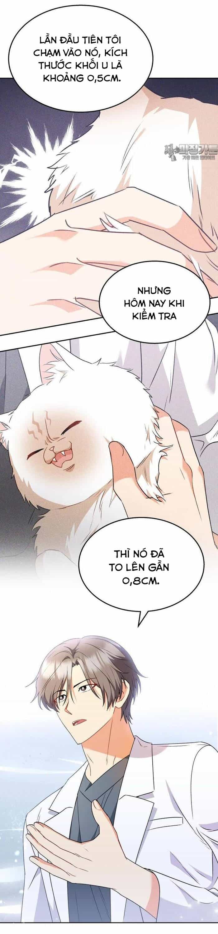 Xin Chào! Bác Sĩ Thú Y - Chương 54 - ảnh 20