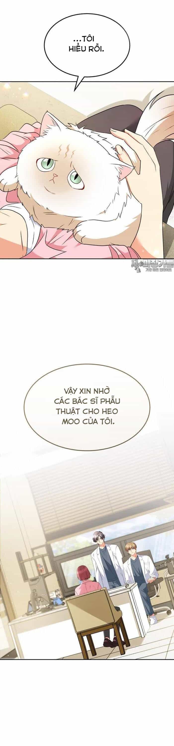 Xin Chào! Bác Sĩ Thú Y - Chương 54 - ảnh 33